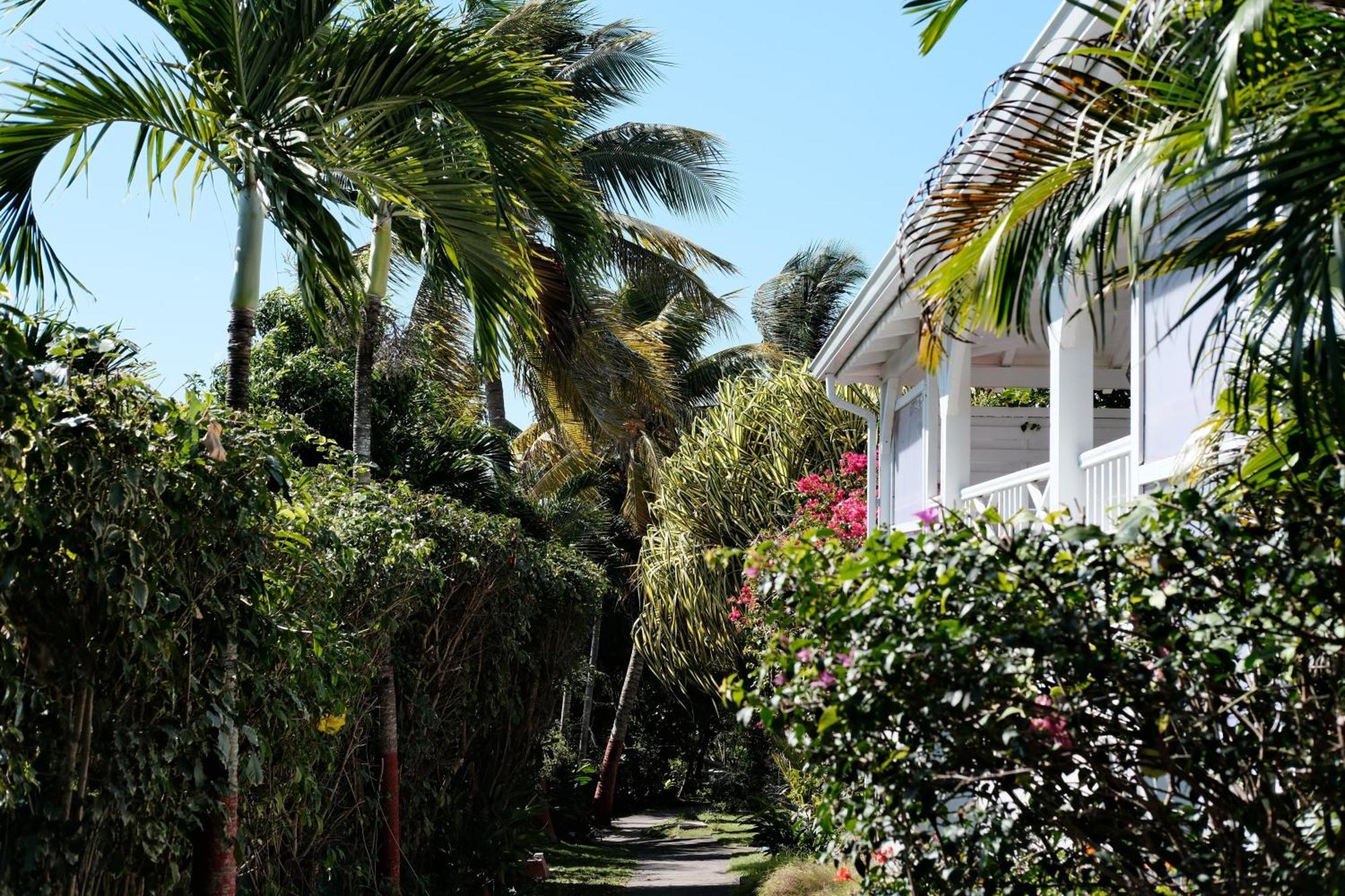 Villa Nid Kreyol Sainte-Anne  Exterior foto